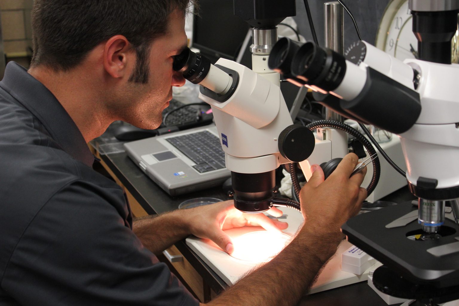 looking at a sample through a microsoft